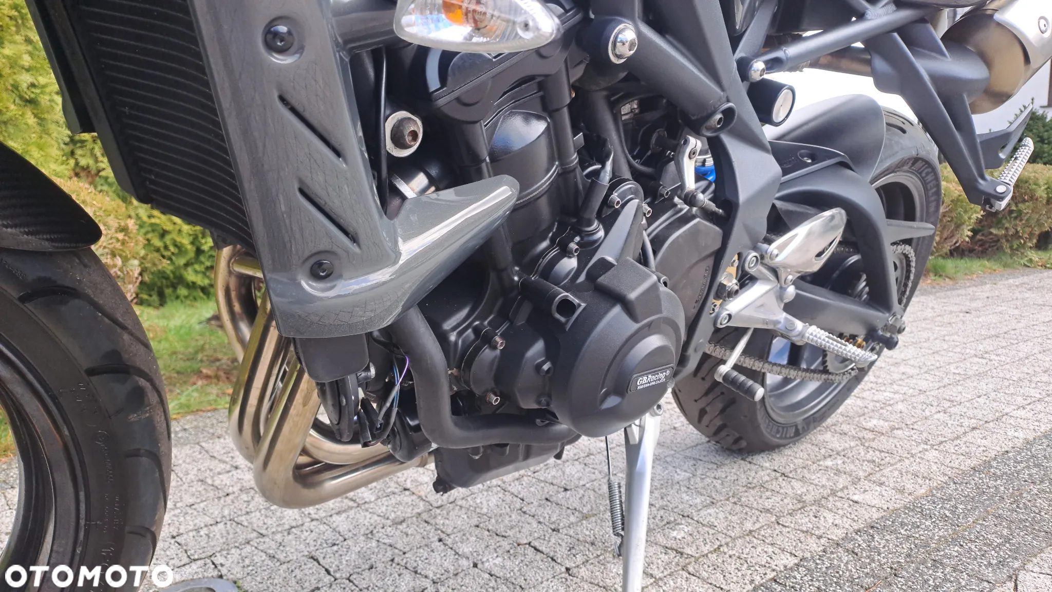 Triumph Speed Triple - 20