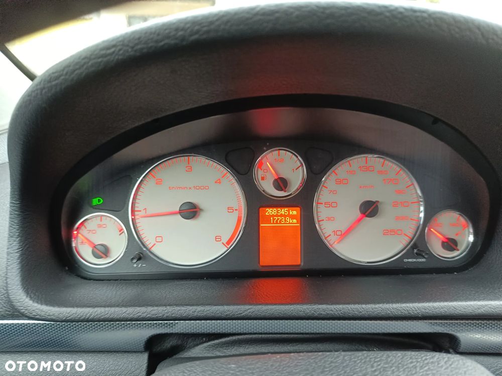 Peugeot 407 HDi 135 - 12