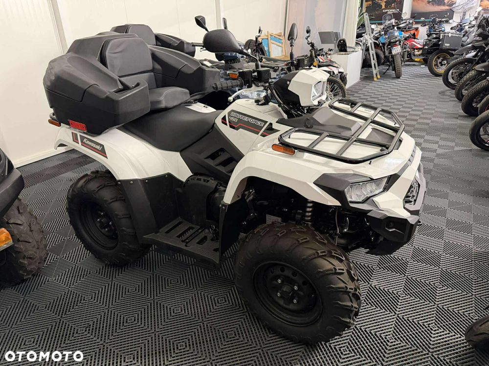 Kawasaki Brute Force - 4