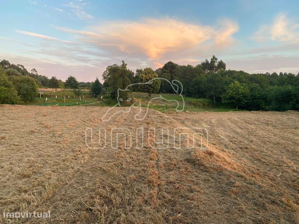 Terreno para venda na Montaria - Grande imagem: 2/7