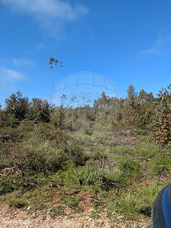 Terreno  para venda - Grande imagem: 3/3