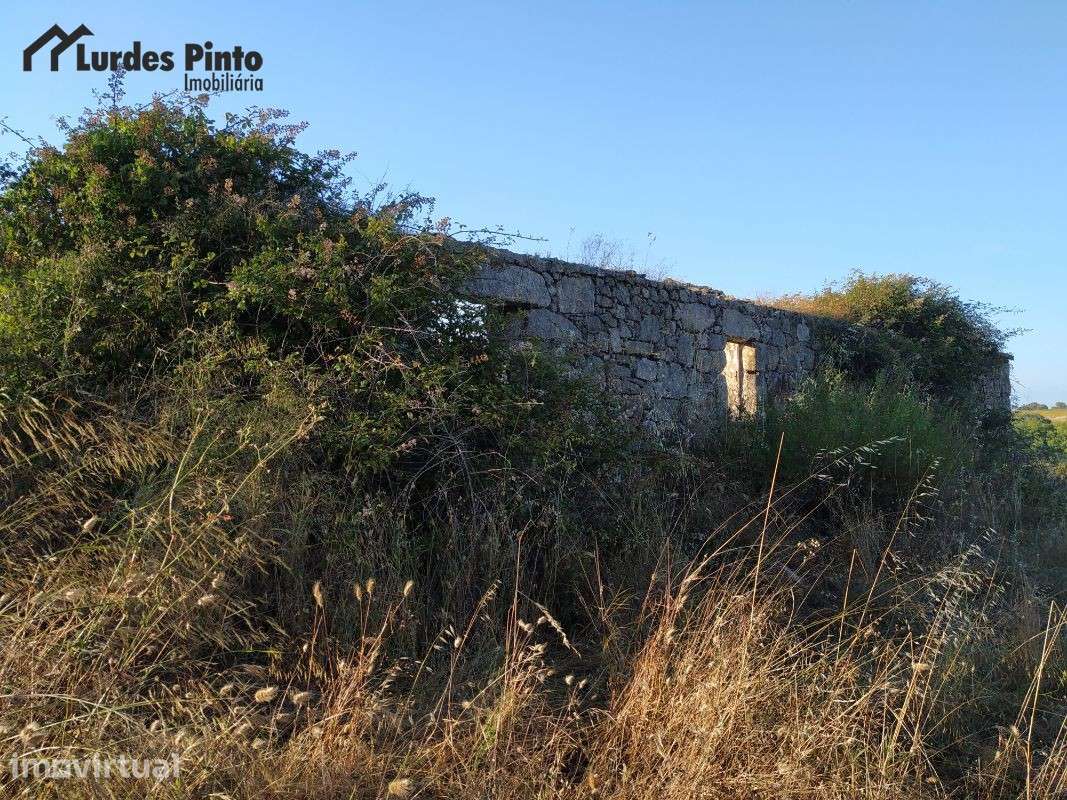 Quinta  em Castelo Branco - Grande imagem: 2/17