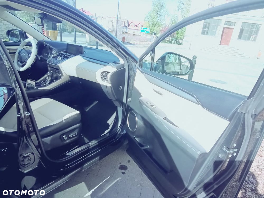 Lexus NX - 30