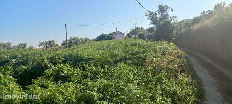 Terreno Cavernães - Viseu - Grande imagem: 3/11