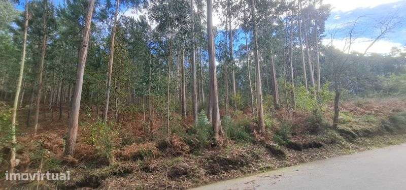 Terreno de 2300m² para venda no lugar de Salgueiral, Lobão - Grande imagem: 3/3