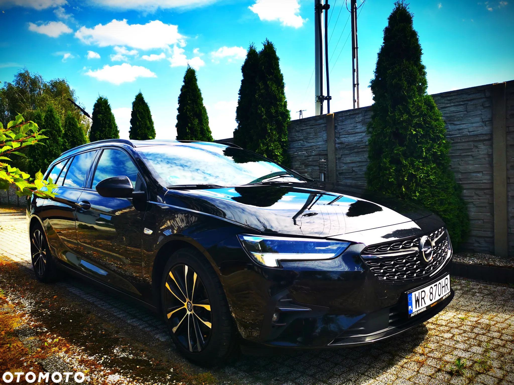Opel Insignia 2.0 CDTI Business Elegance S&S - 21