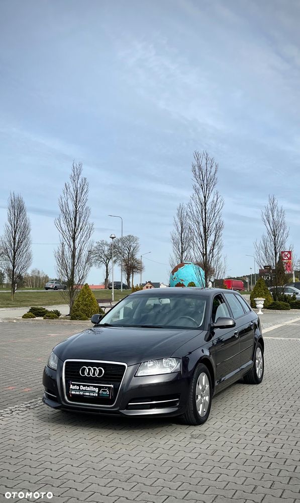 Audi A3 Sportback 1.6 TDI Attraction - 2