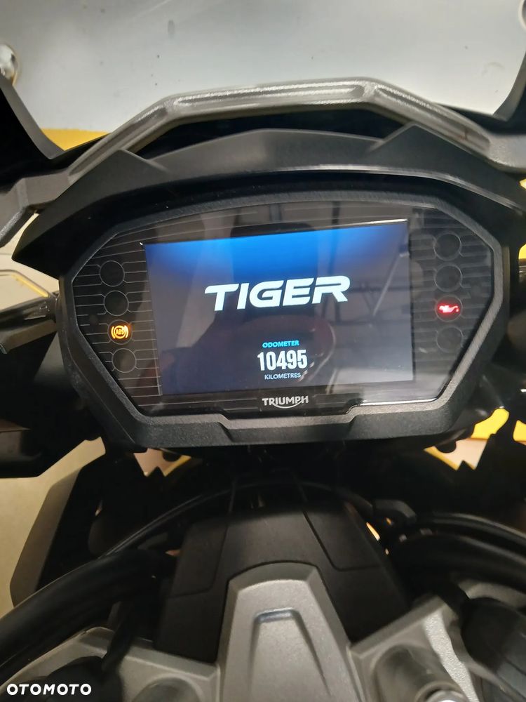 Triumph Tiger - 10