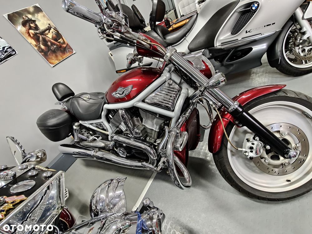 Harley-Davidson Softail V-Rod - 11
