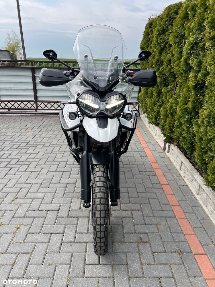 Triumph Tiger - 1