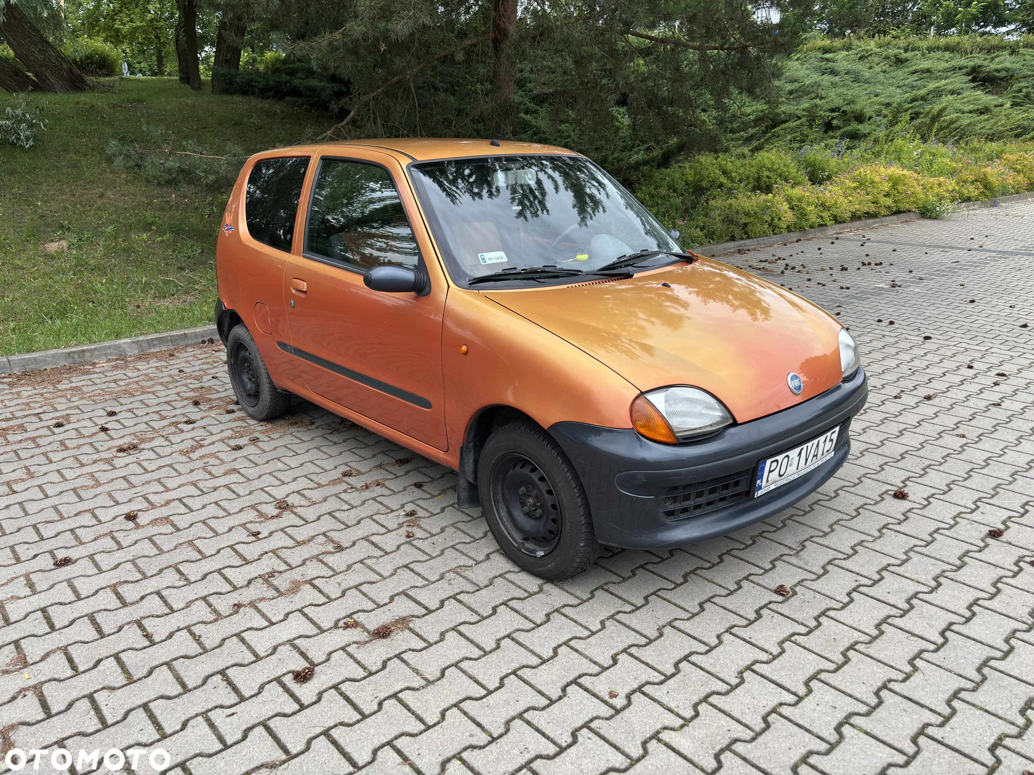 Fiat Seicento Brush - 3