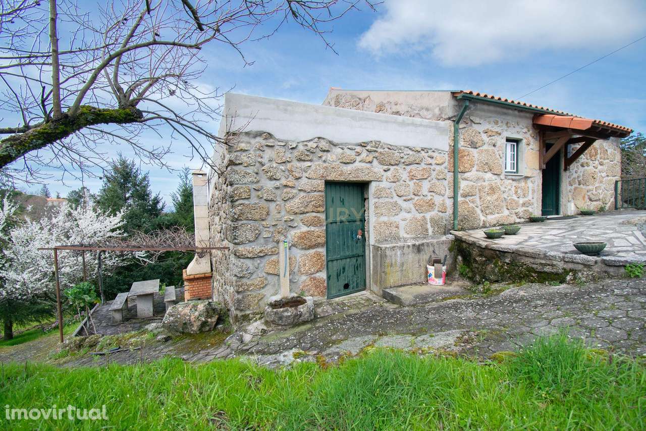 Quinta com construção em Pedra 20.000 m2 de terreno e Licença de Aloja - Grande imagem: 4/60