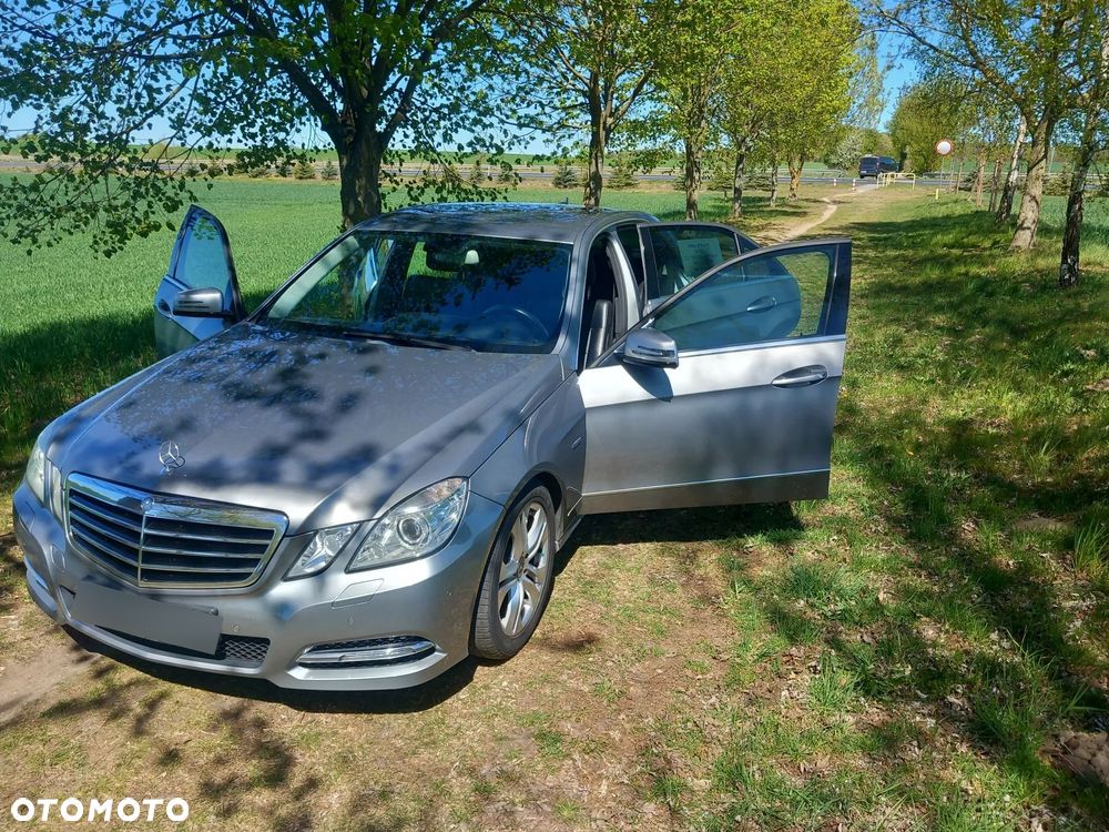 Mercedes-Benz Klasa E 250 CDI 4-Matic BlueEff Avantgarde - 24