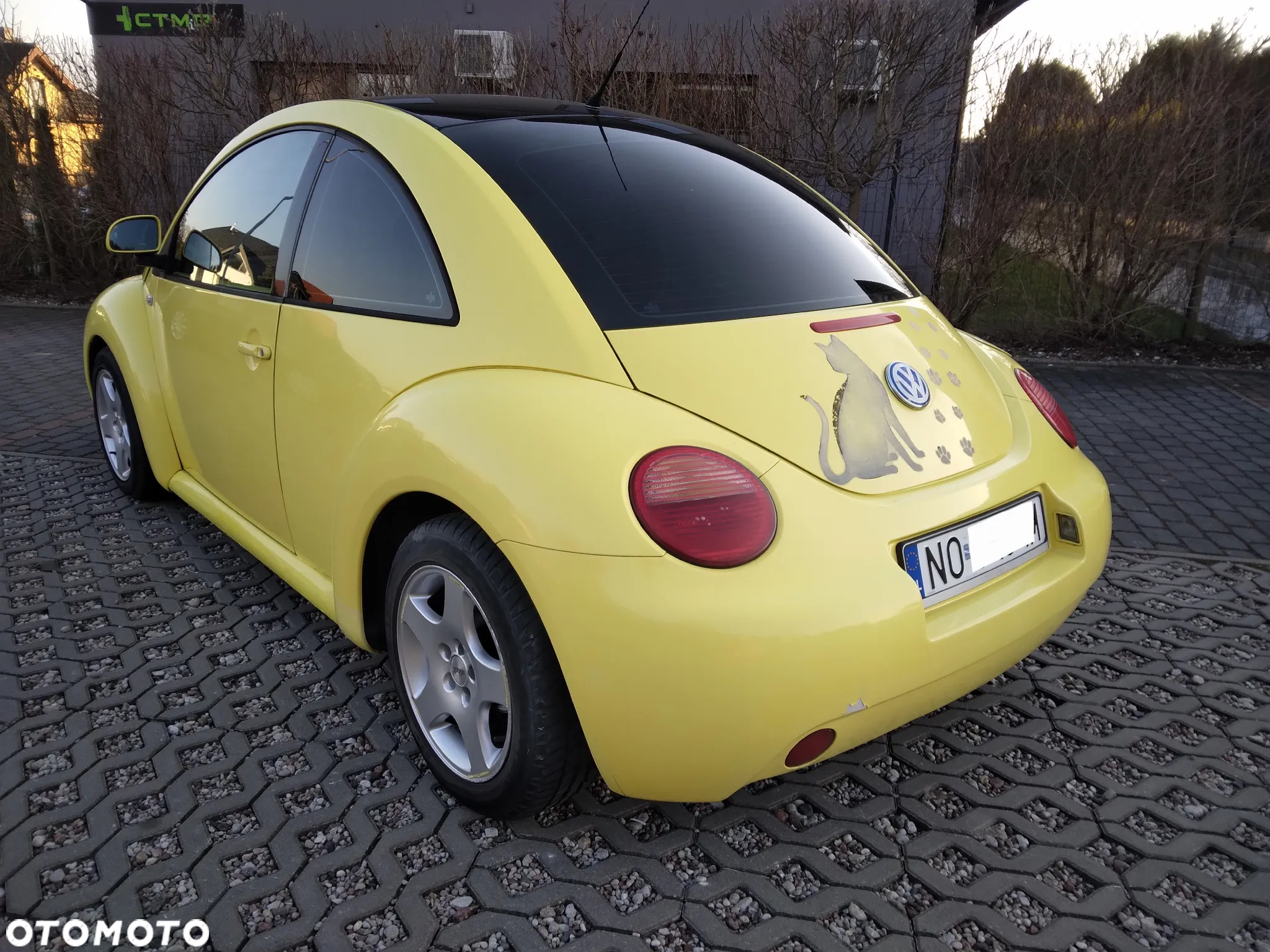 Volkswagen New Beetle 1.9 TDI - 3
