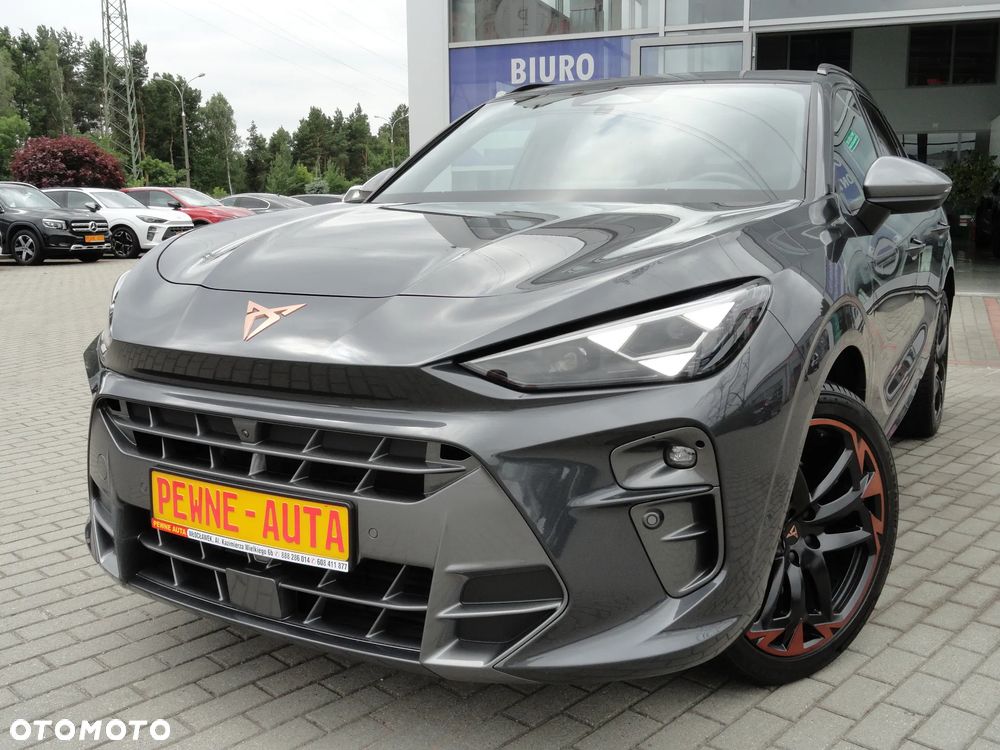 Cupra Terramar 2.0 TSI 4Drive DSG VZ - 2