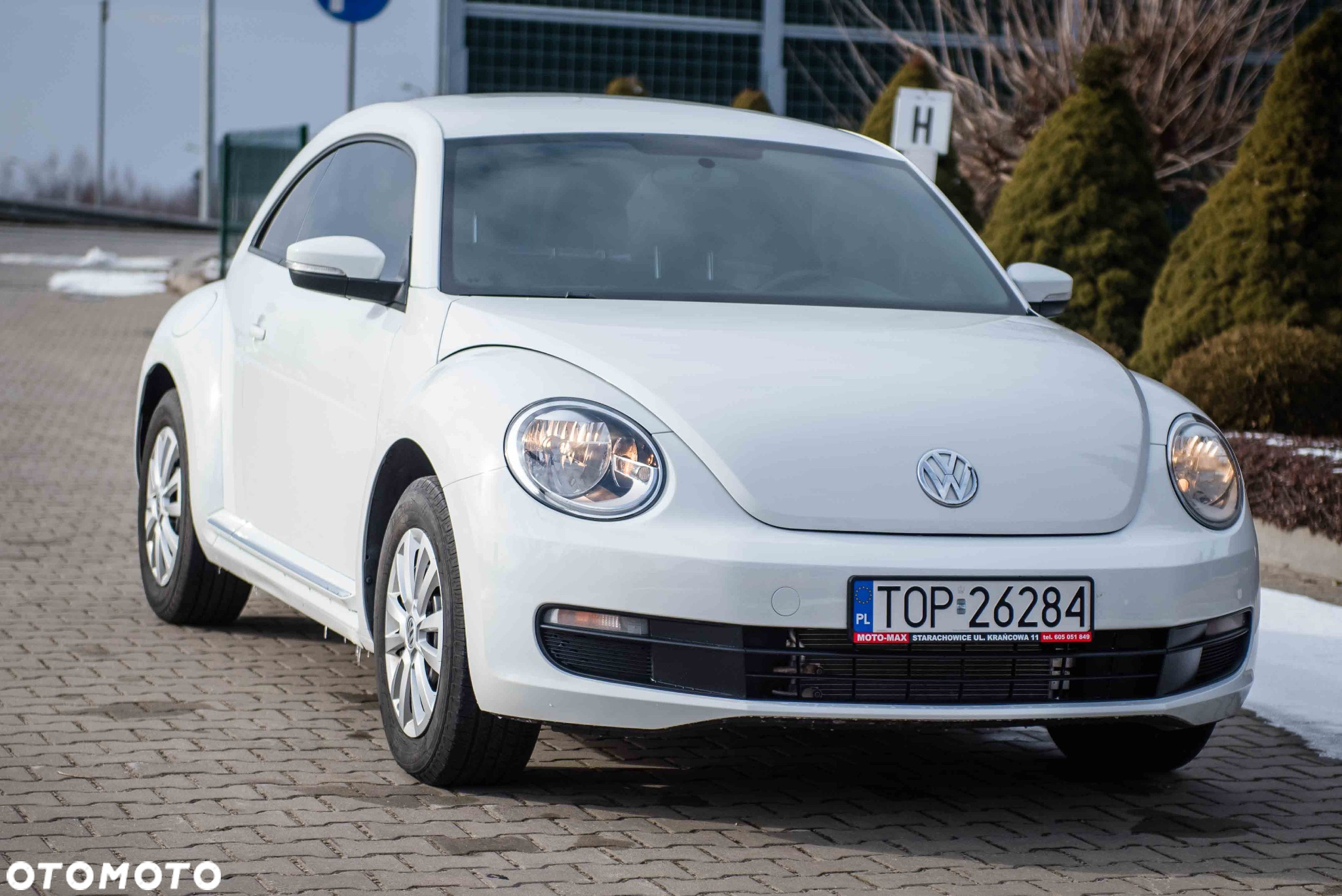 Volkswagen Beetle - 11