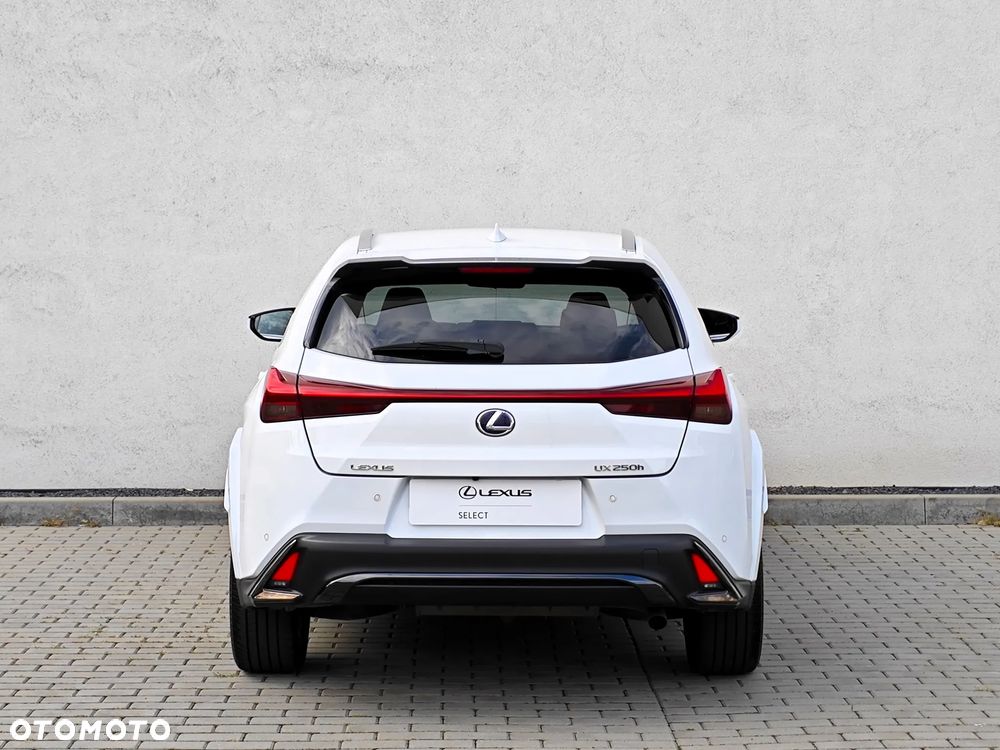 Lexus UX 250h GPF F Sport Edition 2WD - 9