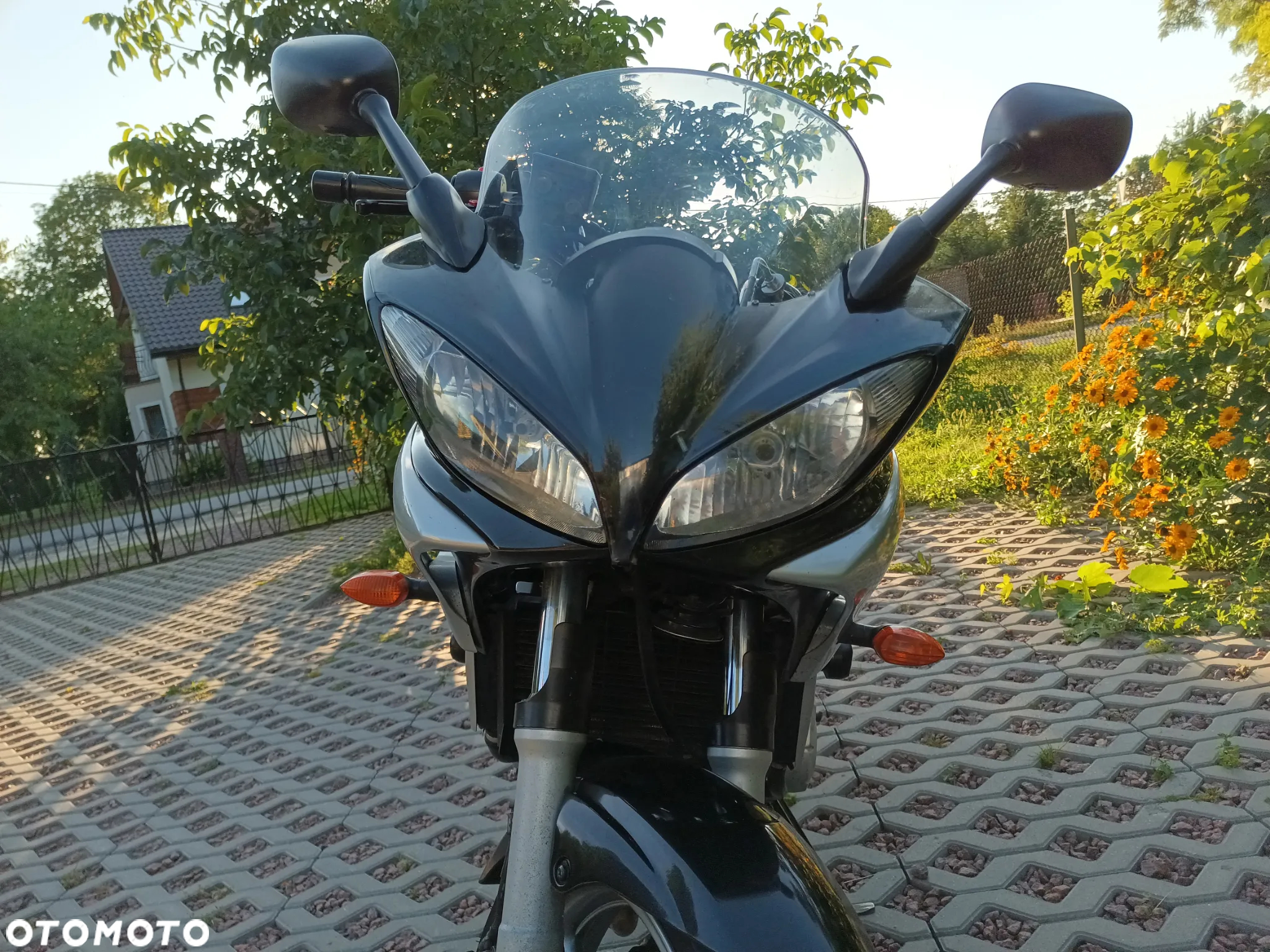 Yamaha FZ6 - 3