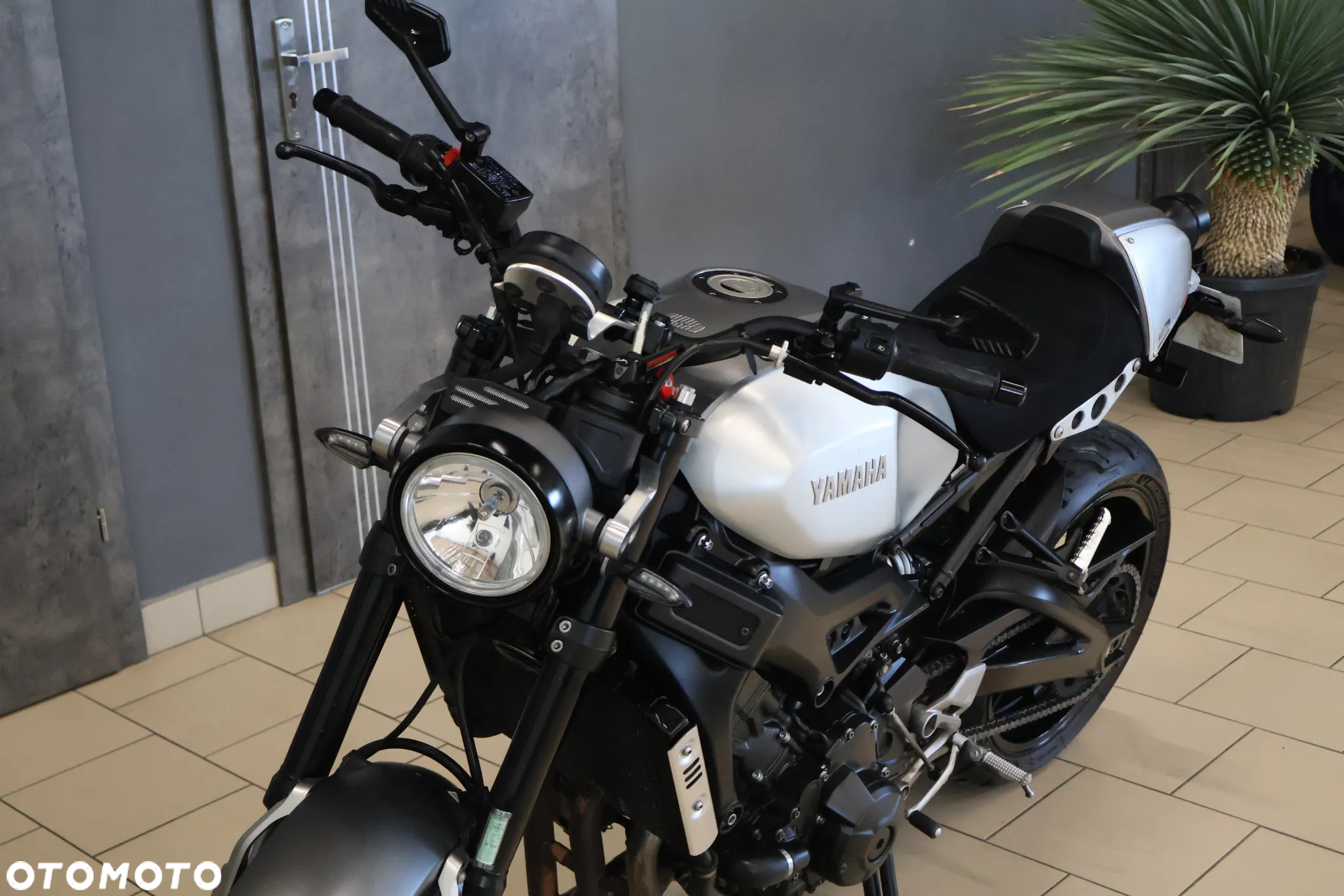 Yamaha XSR - 5