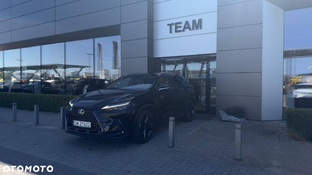 Lexus NX - 11
