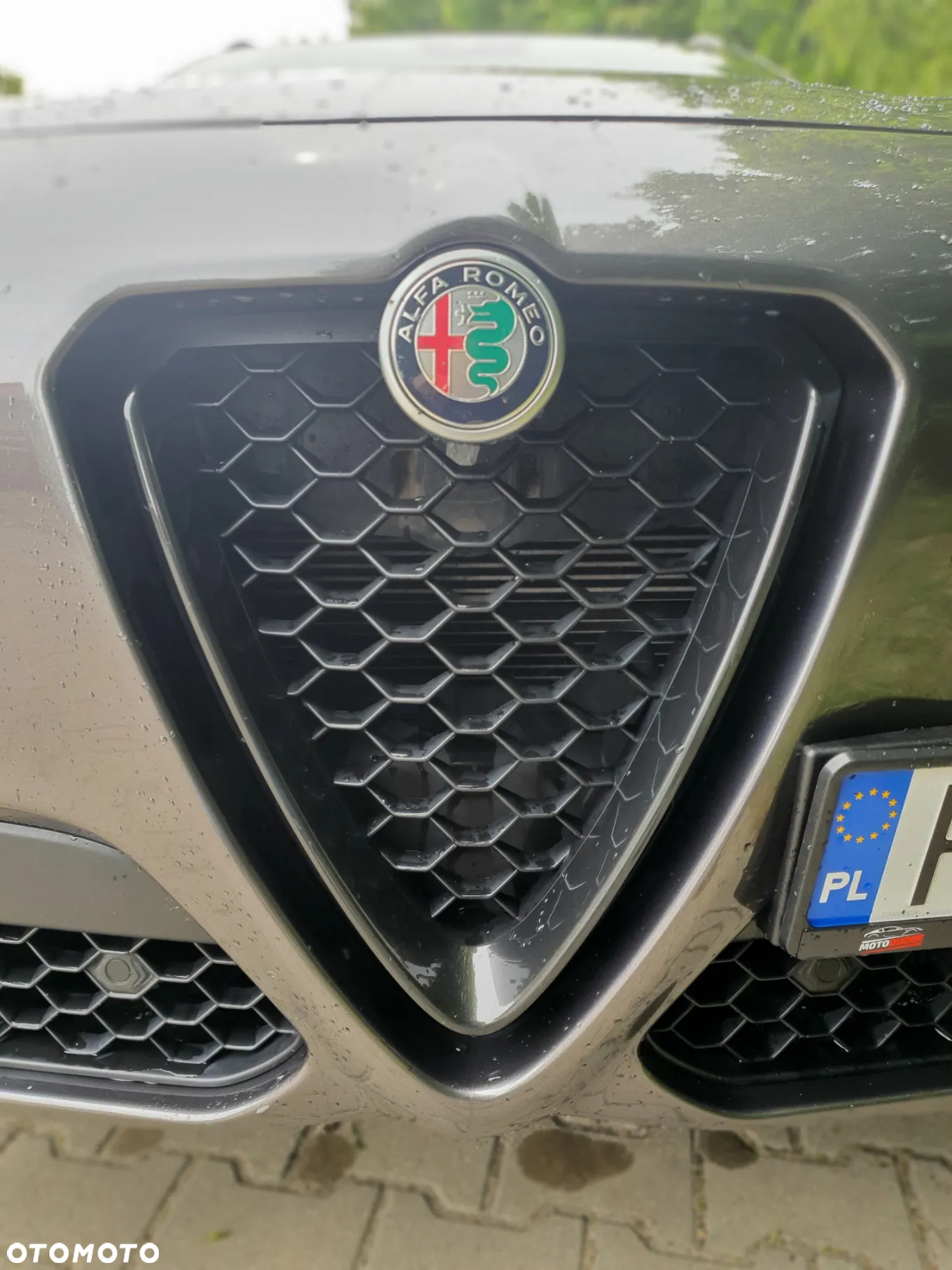 Alfa Romeo Stelvio 2.0 Turbo 16V AT8-Q4 Veloce - 13