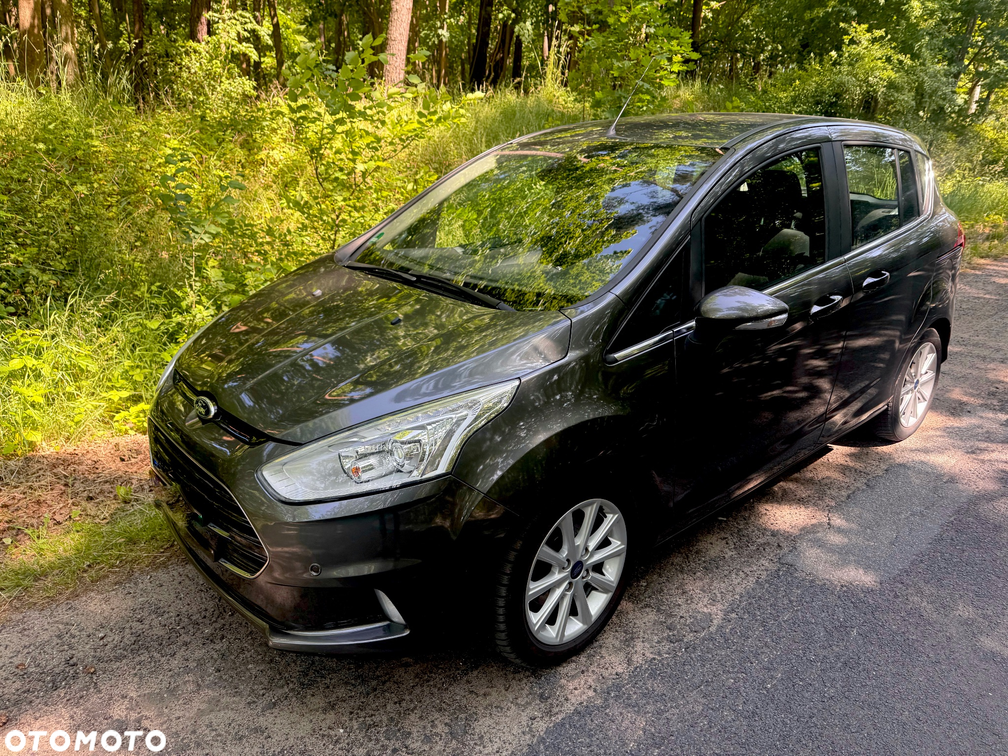 Ford B-MAX 1.0 EcoBoost Titanium ASS - 2