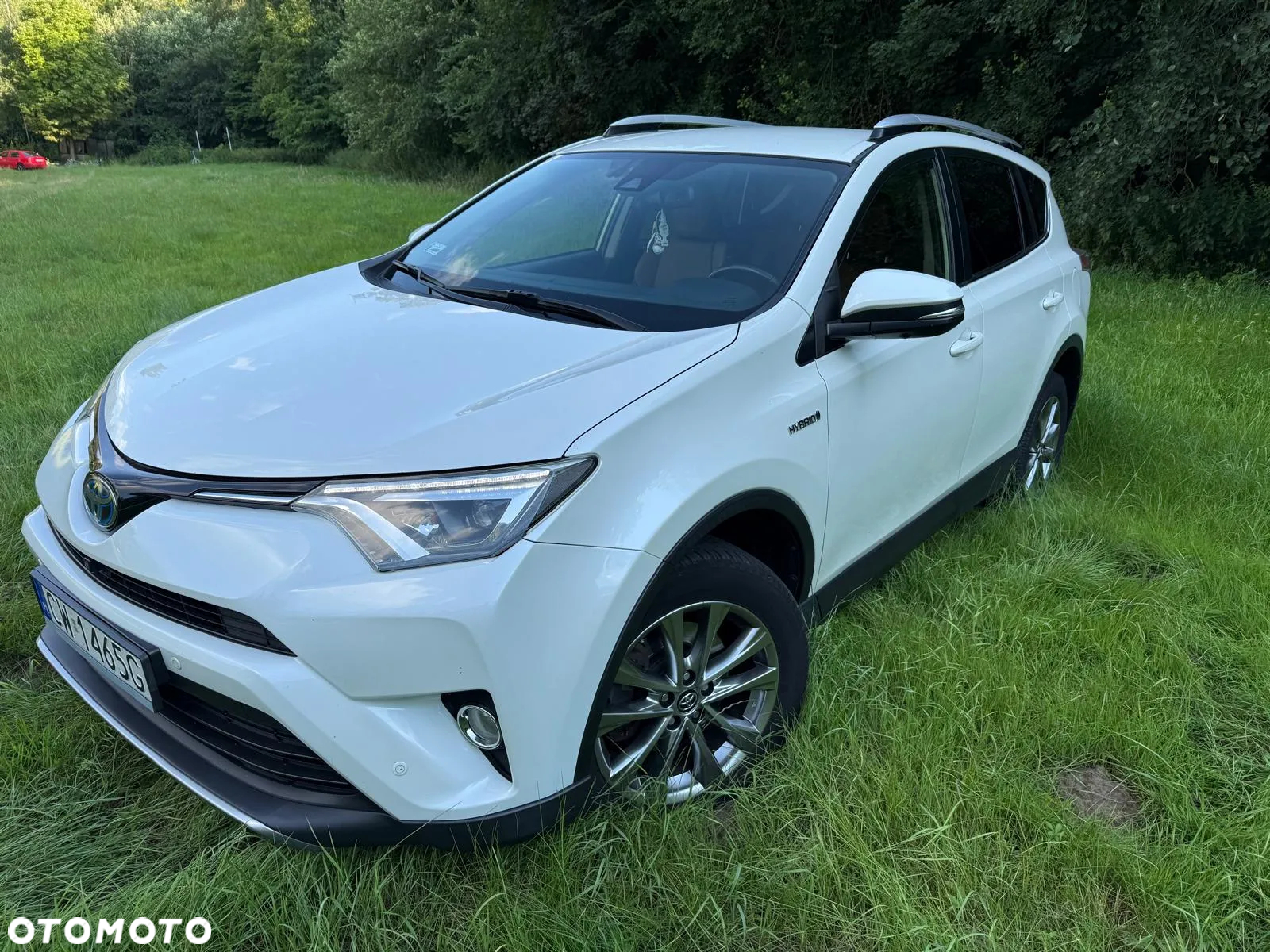 Toyota RAV4 2.5 4x2 Hybrid Comfort - 3
