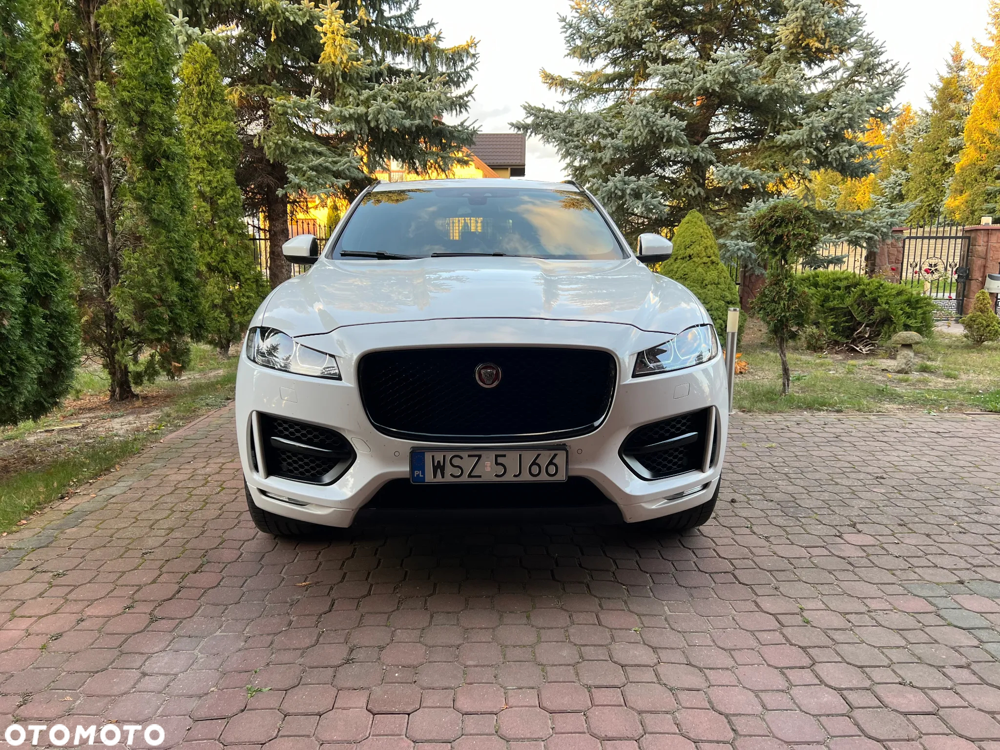 Jaguar F-Pace 2.0 i4D AWD R-Sport - 2
