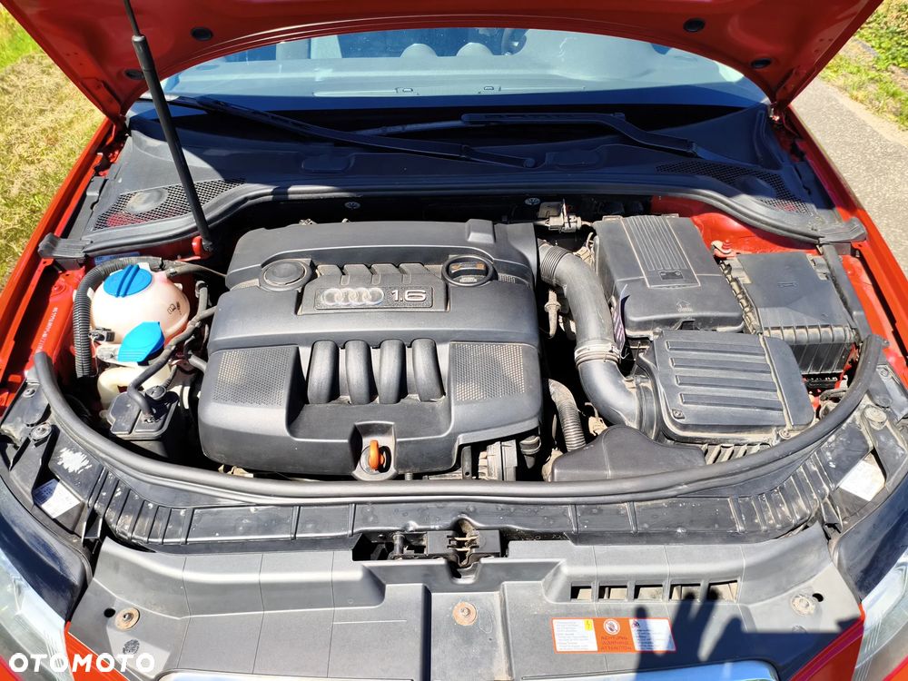 Audi A3 3-drzwiowe - 14