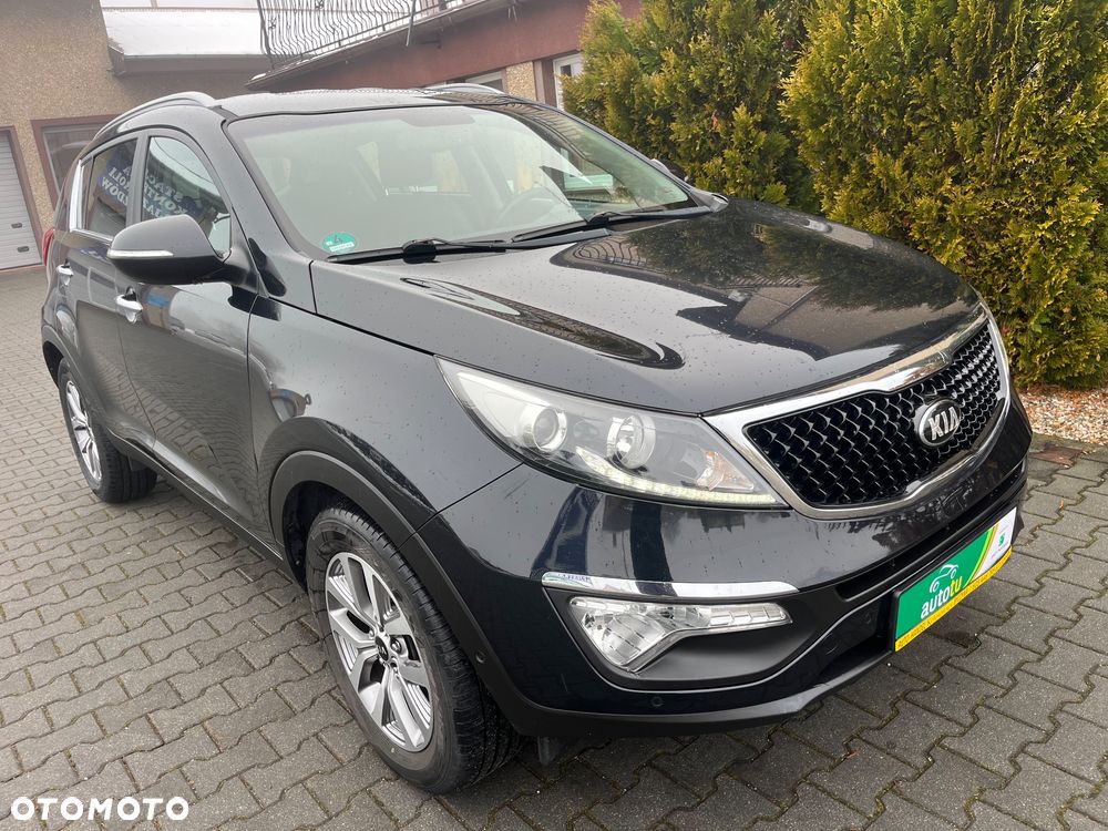 Kia Sportage - 1