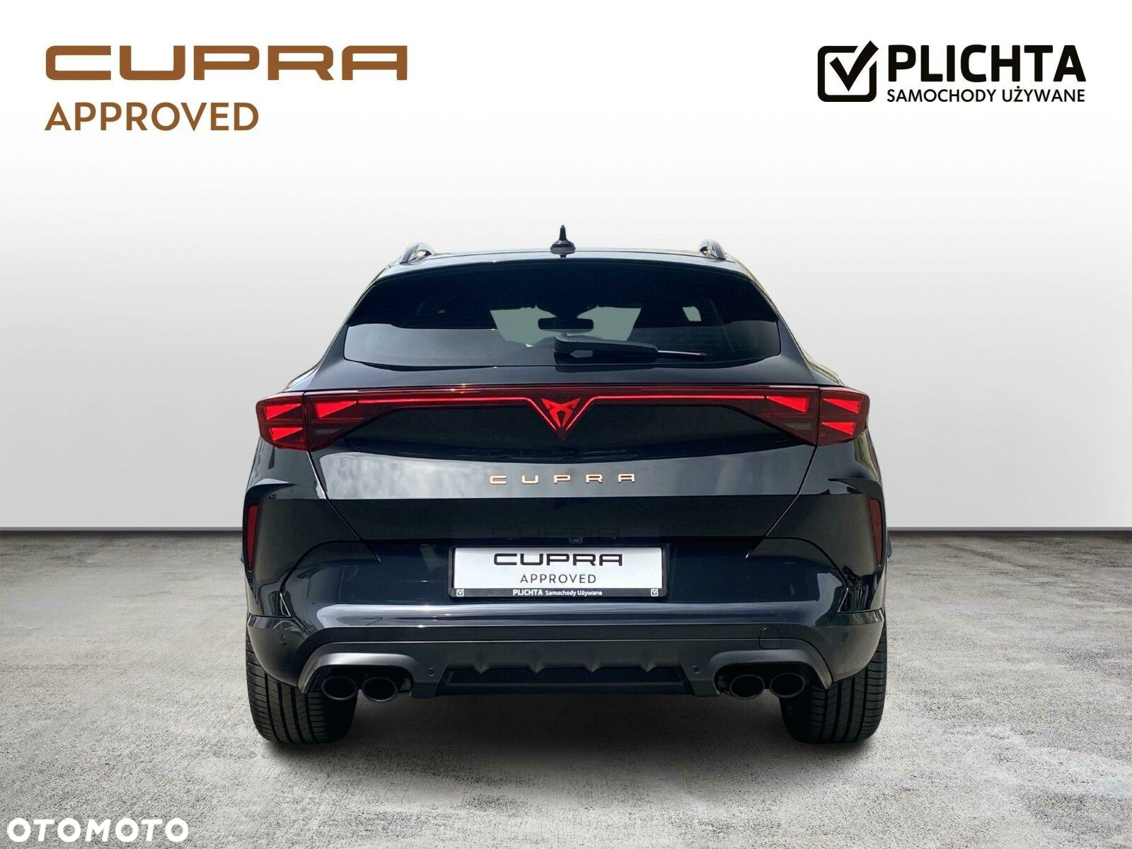 Cupra Formentor 2.0 TSI 4Drive VZ DSG - 4