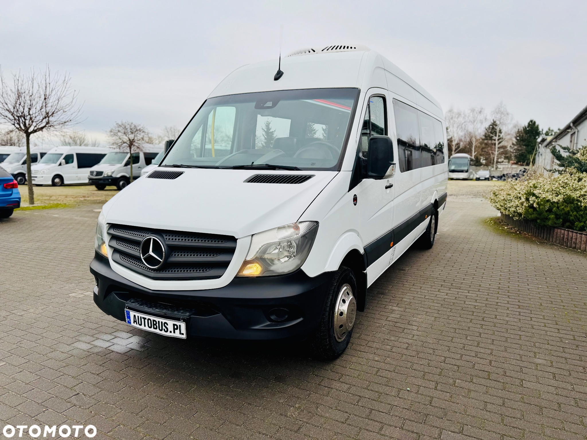 Mercedes-Benz SPRINTER 516 CDI - 2