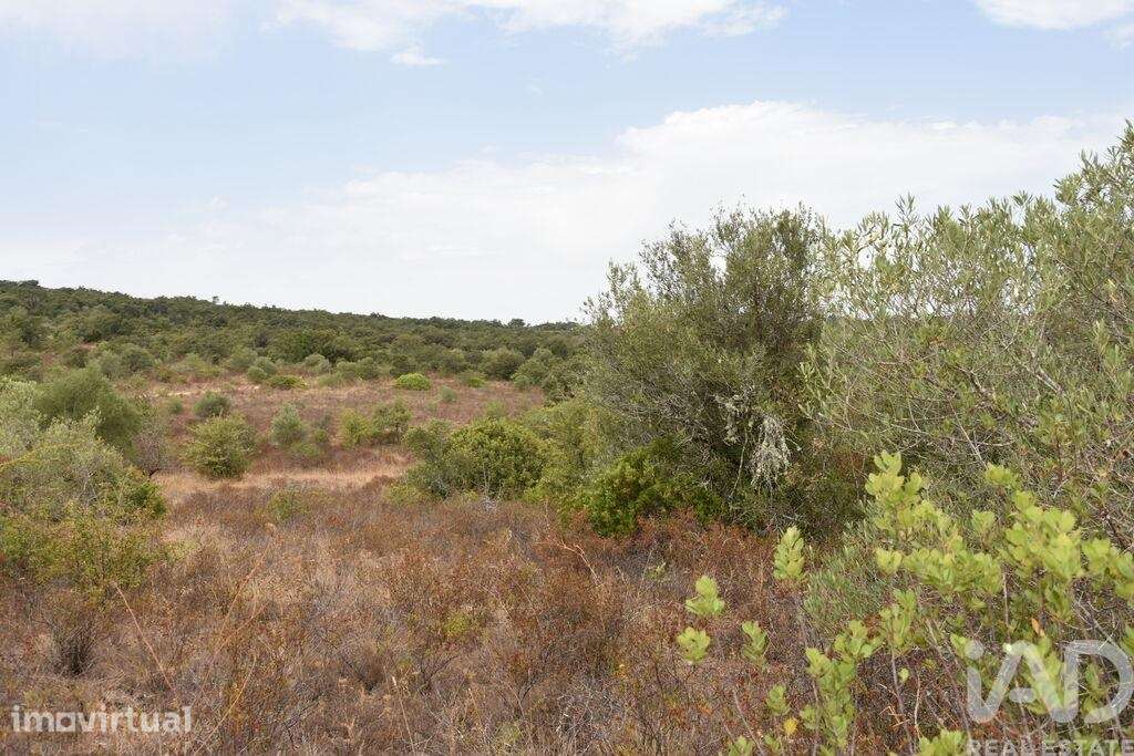 Terreno em Areias e Pias de 1600,00 m2 - Grande imagem: 5/30