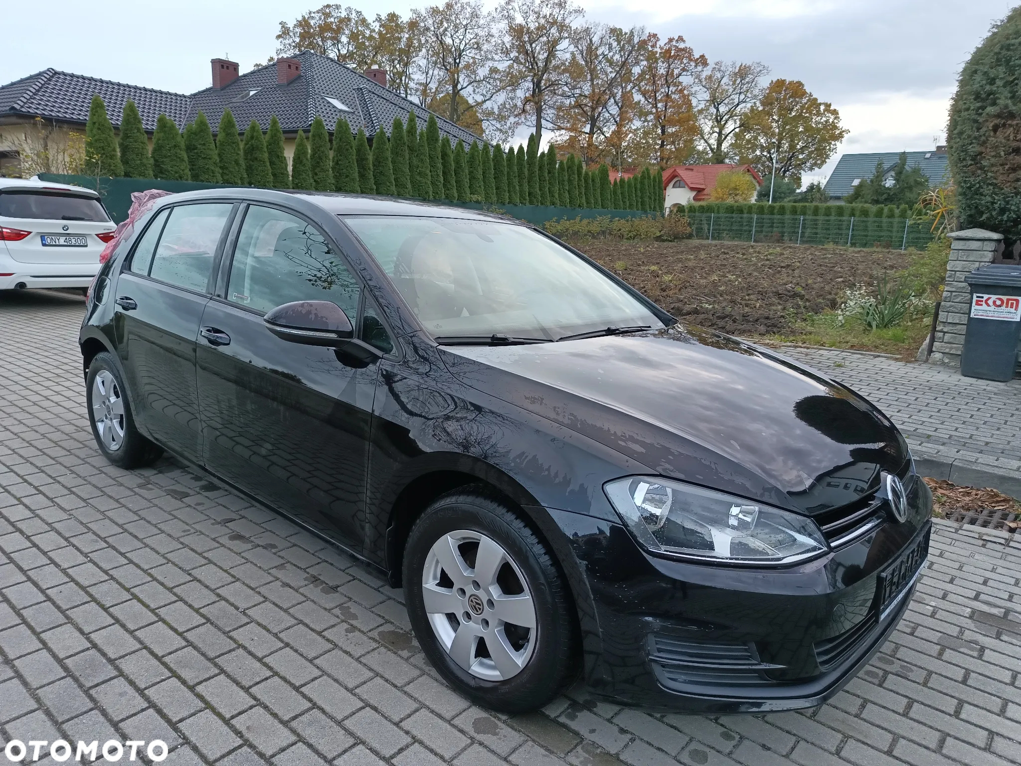 Volkswagen Golf - 13