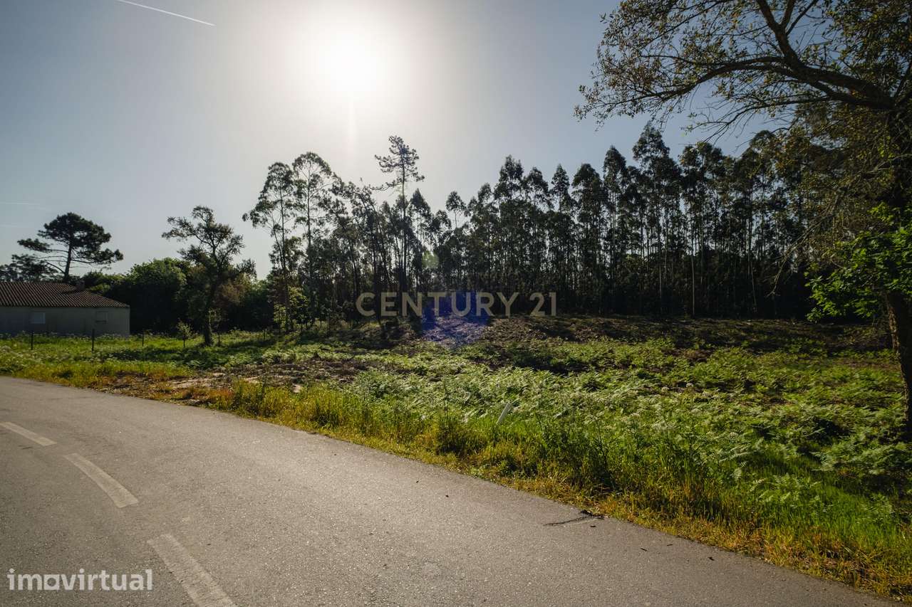 Terreno Rústico em Santa Joana - Aveiro - Grande imagem: 5/27