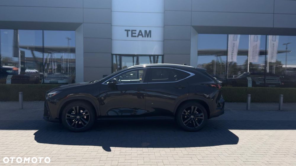 Lexus NX - 22