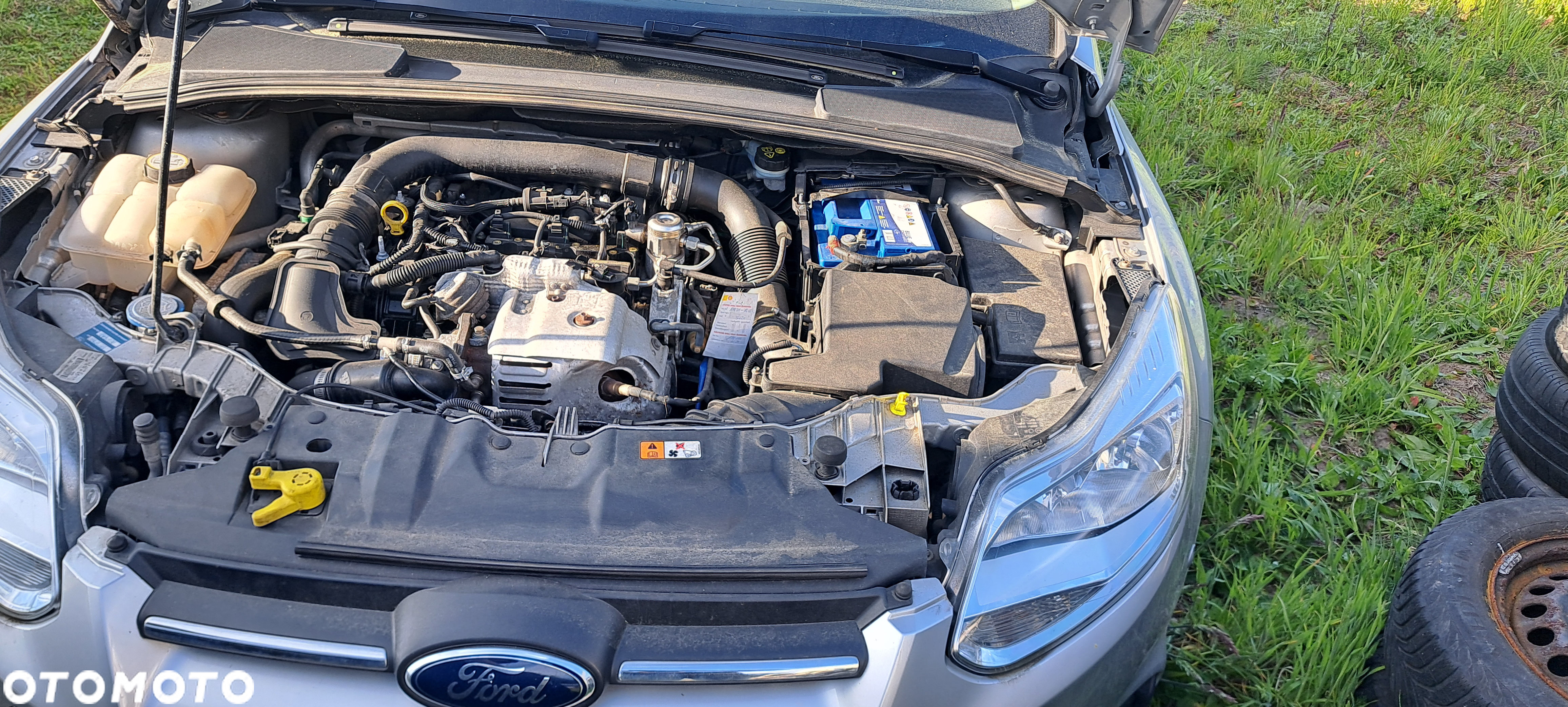 Ford Focus - 17