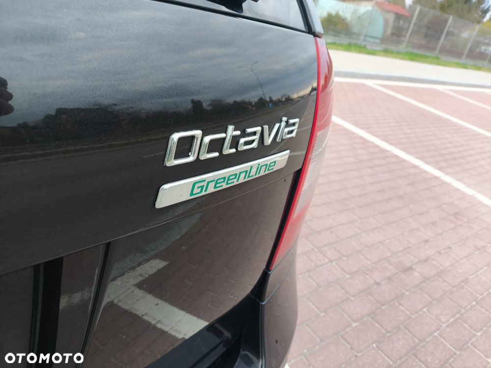 Skoda Octavia 1.6 TDI Greenline - 25