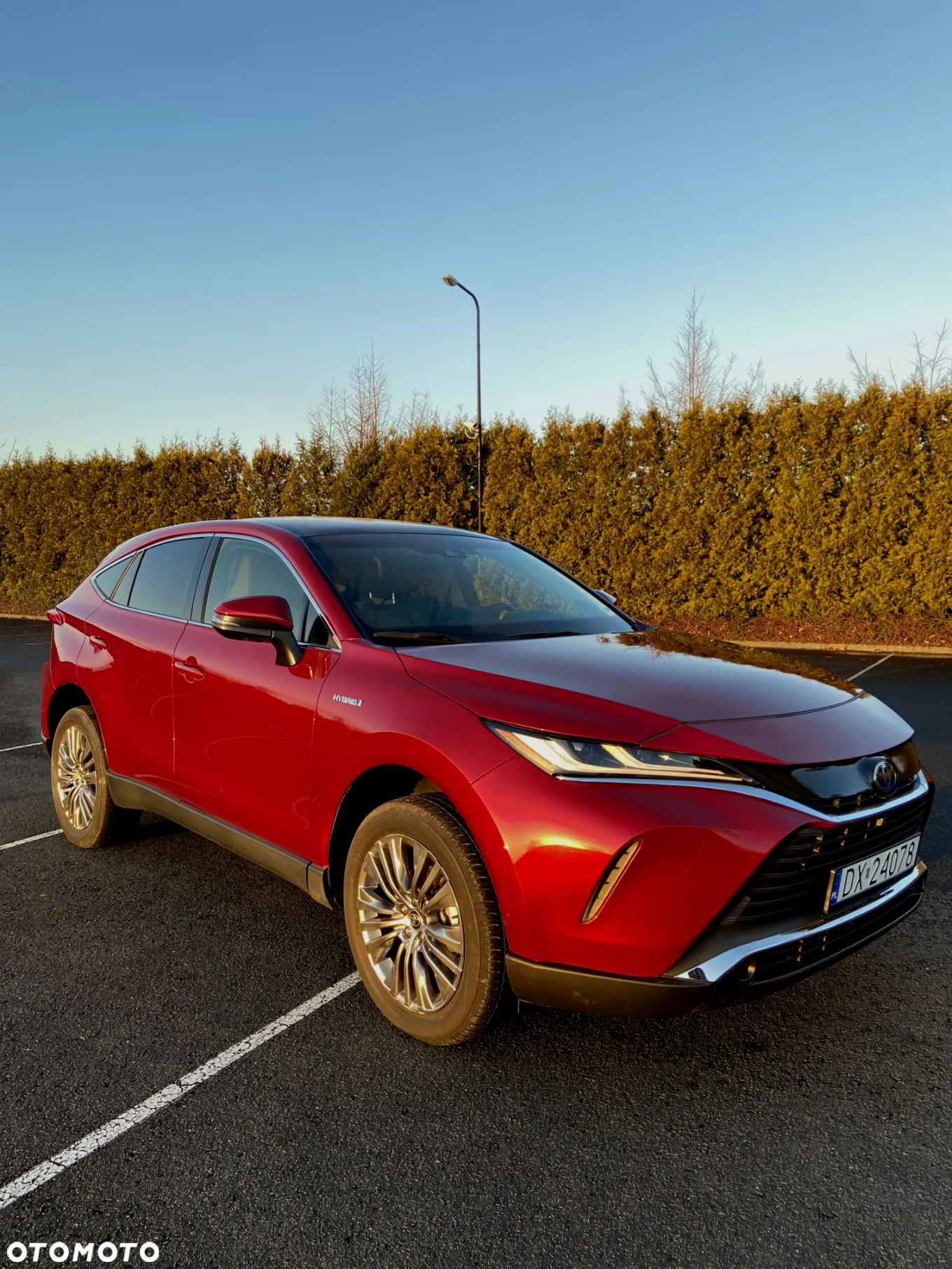 Toyota Venza - 7