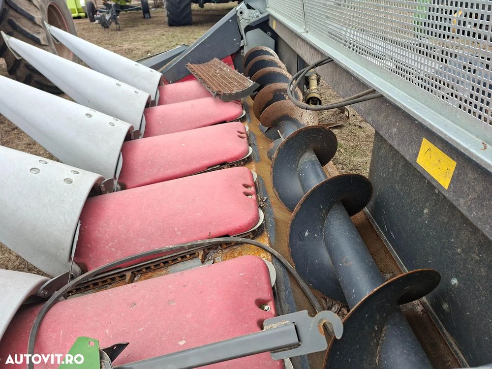 Dominoni KAIMAN S 976 B CULEGATOR DE PORUMB - 11