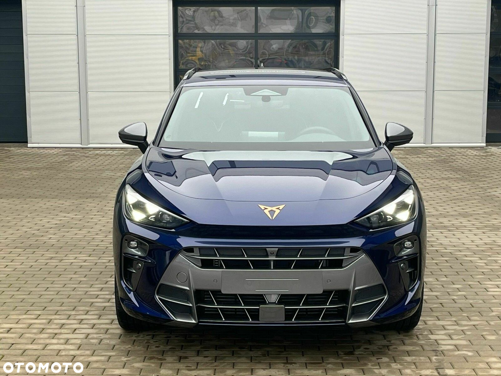 Cupra Terramar - 4