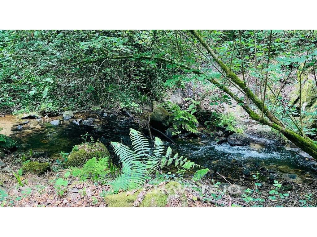 Ruina de Azenha à beira rio, suscetível para obras de conservação c... - Grande imagem: 2/25