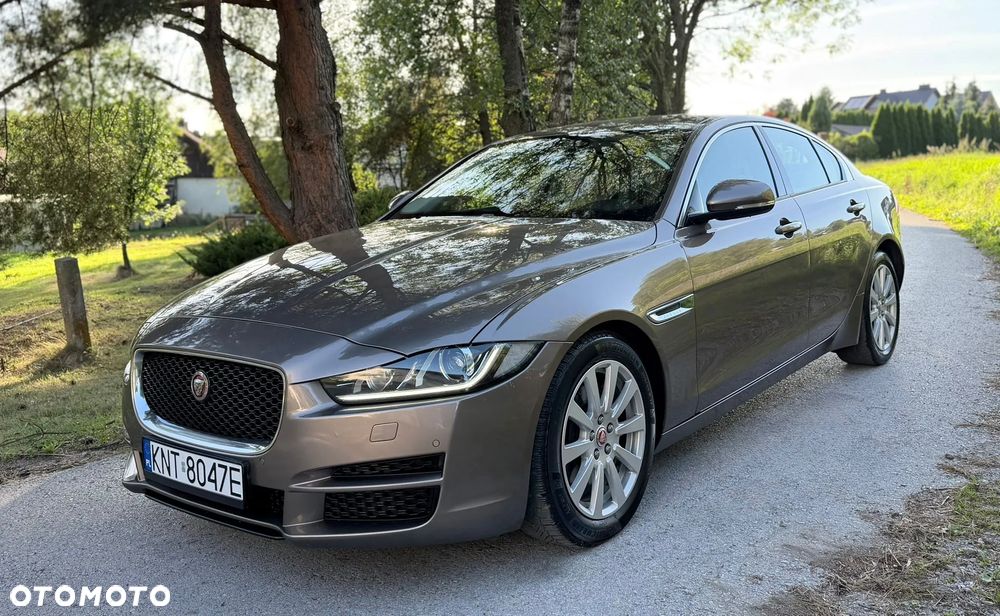 Jaguar Xe 2016 photo 2