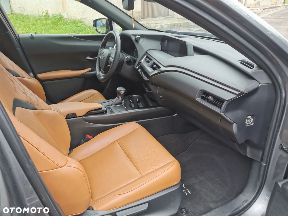 Lexus UX 250h - 13