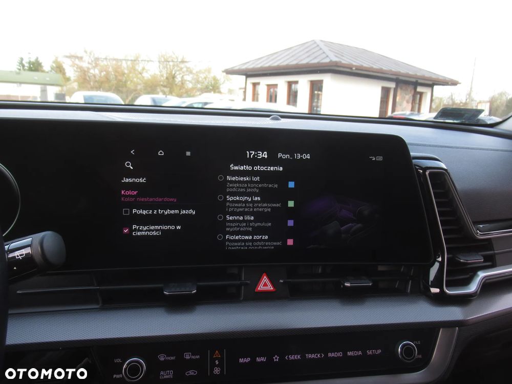 Kia Sportage 1.6 T-GDI MHEV Business Line 2WD DCT - 25