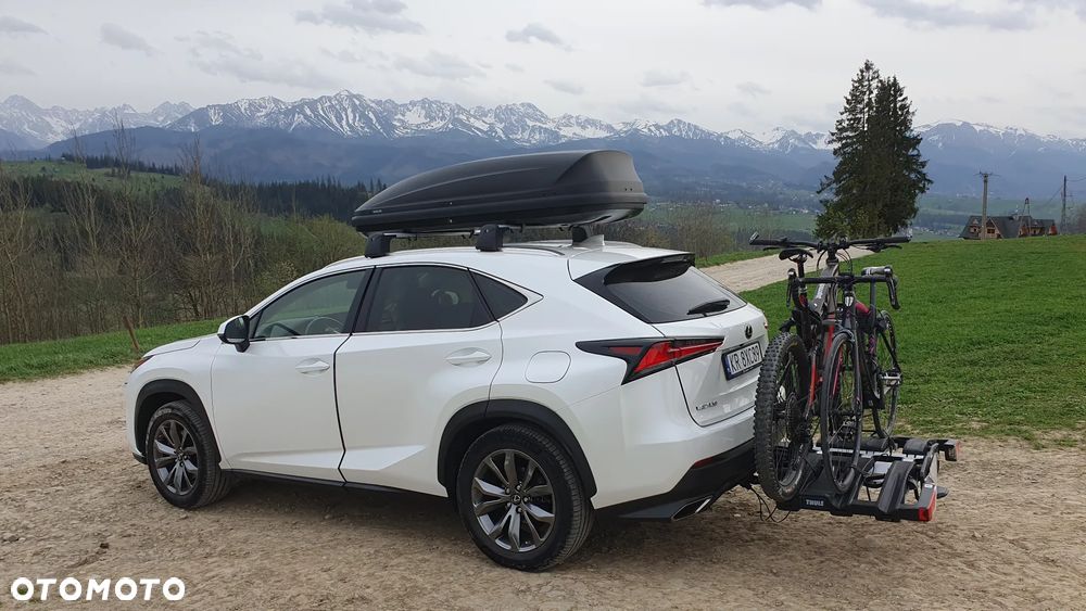 Lexus NX 300 GPF Comfort AWD - 10