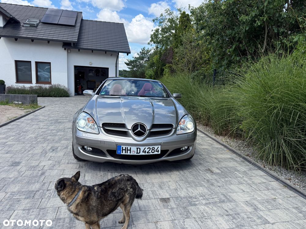 Mercedes-Benz SLK - 7