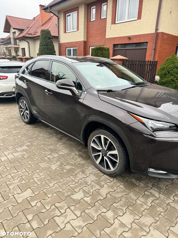 Lexus NX - 1