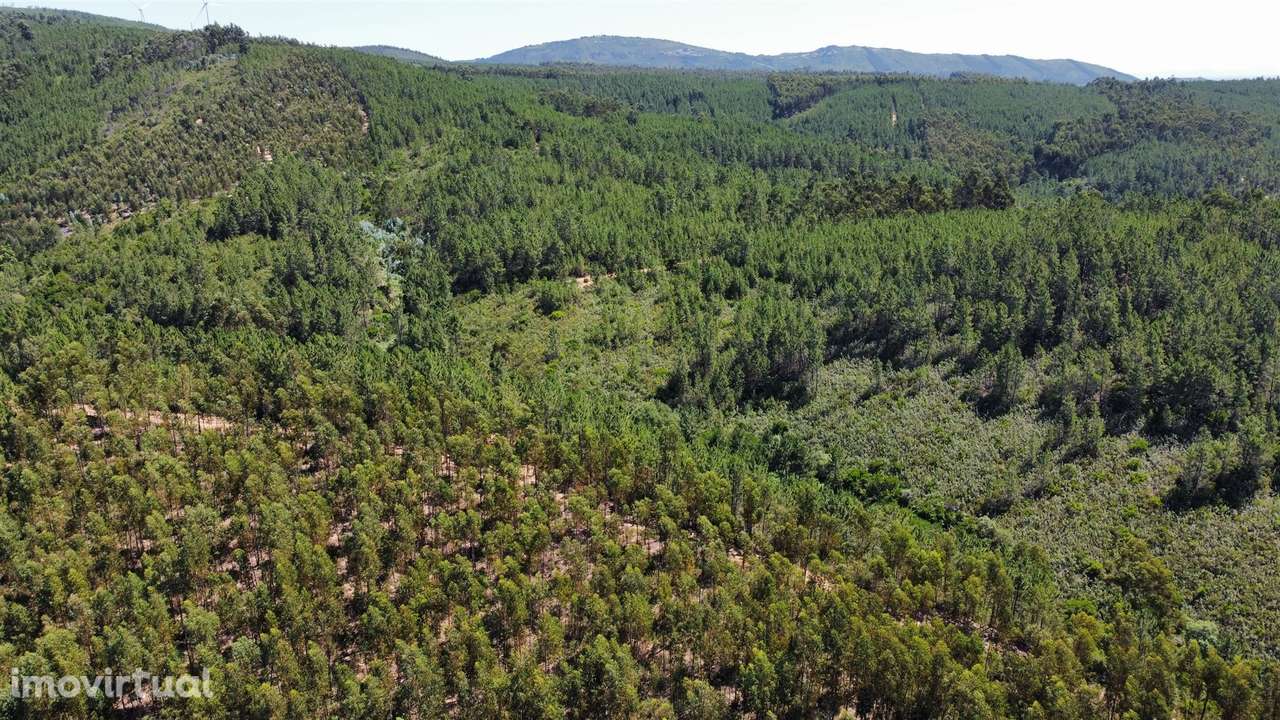 Terreno Rústico  Venda em Sarnadas de São Simão,Oleiros - Grande imagem: 3/11