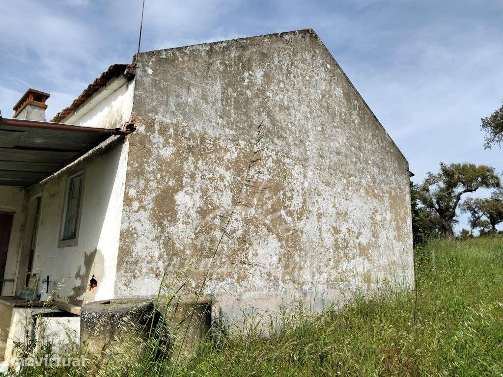 Quinta para recuperar - Grândola - Grande imagem: 3/25